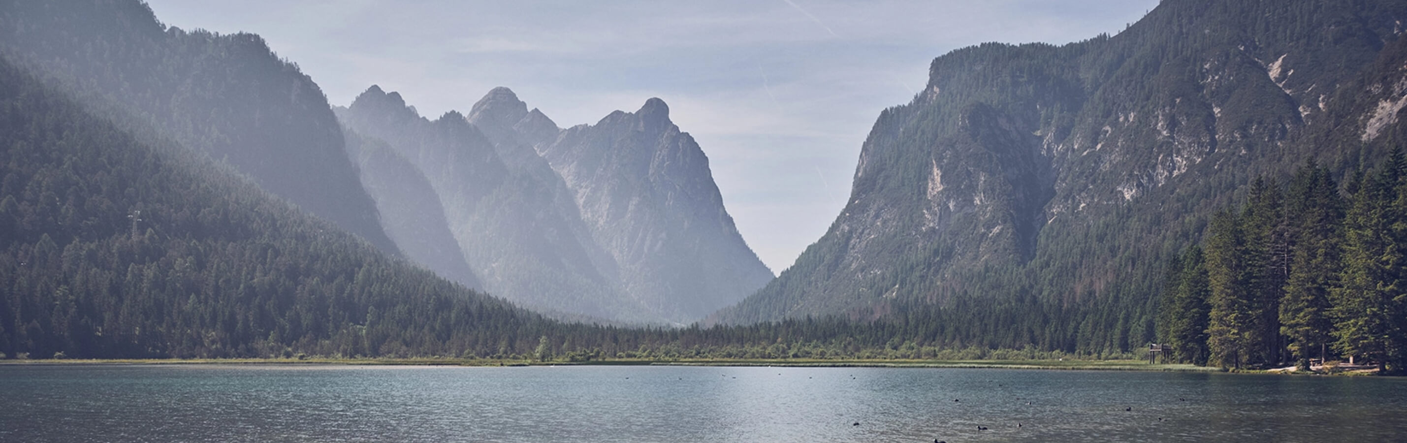 C’EST GRATUIT ET SANS ENGAGEMENT