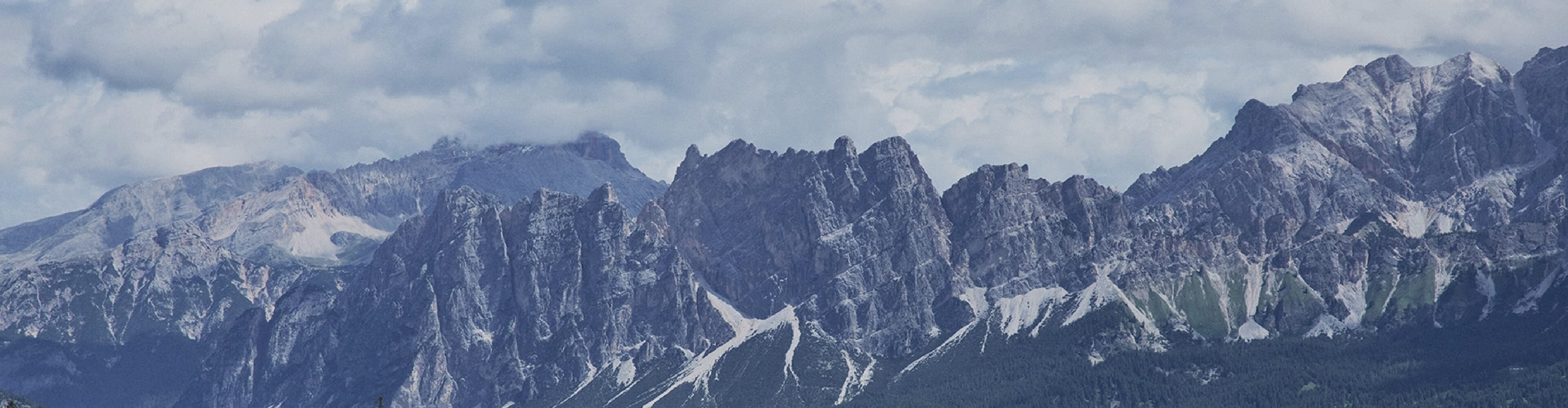 MON PROGRAMME DE FIDÉLITÉ